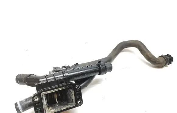 Thermostat/thermostat housing
