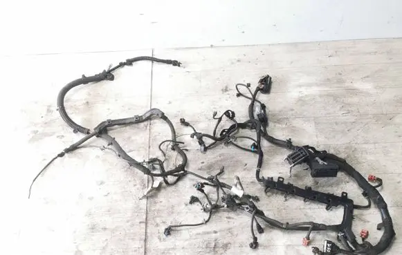 Engine installation wiring loom