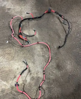 Porsche Cayenne (9Y0 9Y3) Positive cable (battery) 4M1971225S TAB010821EB