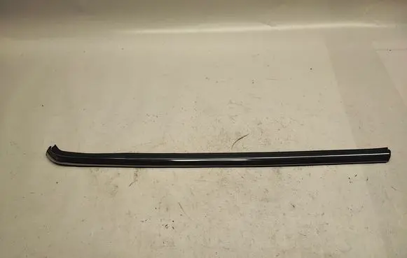 Mini Clubman F54 Rear door glass trim molding 7491332