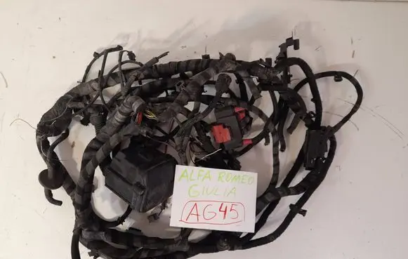 Alfa Romeo Giulia Other wiring loom