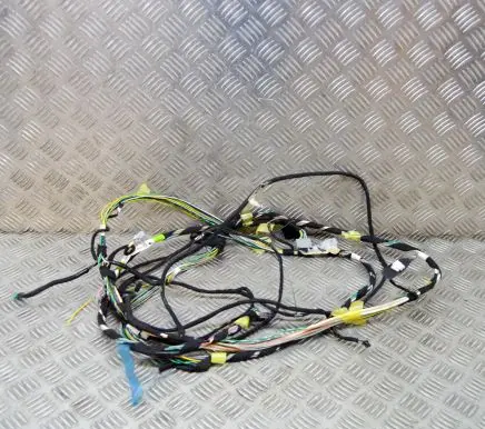 Tesla Model S Other wiring loom 100455601H
