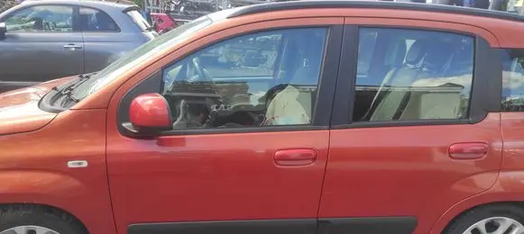 Fiat Panda III Front door DLPFPIII