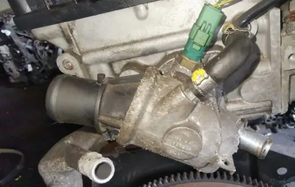 Alfa Romeo 147 Engine coolant pipe/hose 60663619