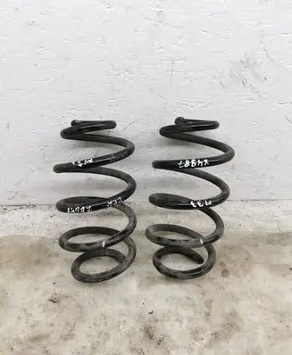 Rear coil spring