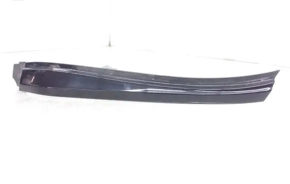 Rear/tail light trim molding