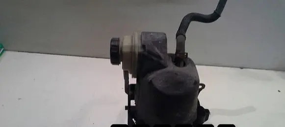 Renault Laguna III Power steering pump 491100023R