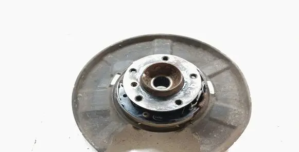 Rear wheel hub spindle/knuckle