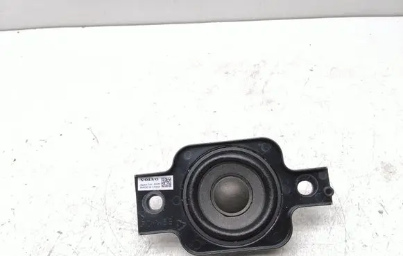 Polestar 2 Panel speaker 32201744