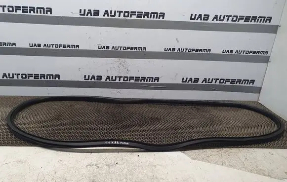 Citroen C4 II Picasso Front door rubber seal