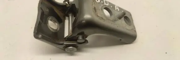 Citroen DS5 Rear door lower hinge