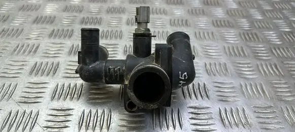 Thermostat/thermostat housing