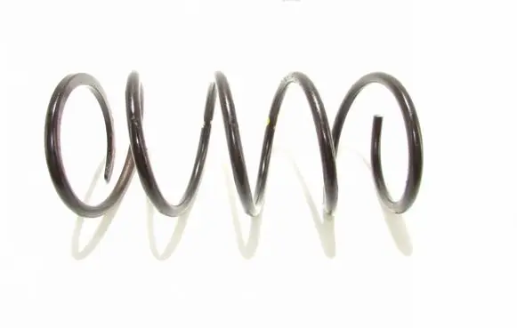 Front coil spring