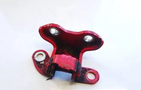 Rear door lower hinge