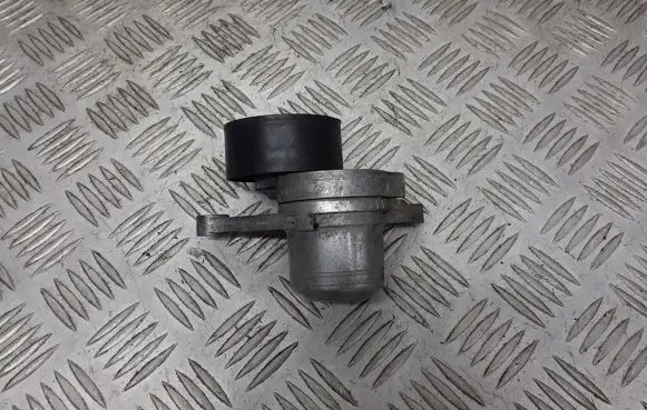 Renault Scenic II - Grand scenic II Alternator belt tensioner pulley 