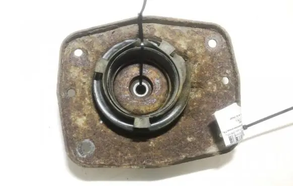 Coil spring mount