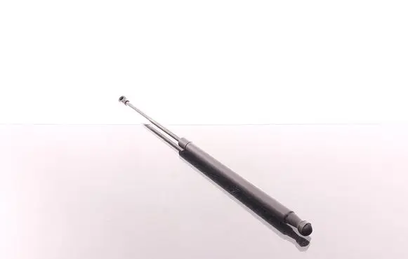 Tailgate/trunk strut/damper