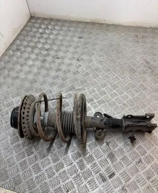 Chrysler Voyager Front shock absorber with coil spring 