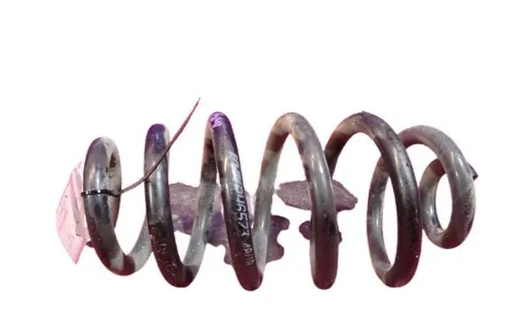 Rear coil spring