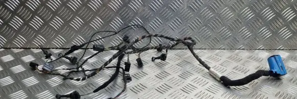 Opel Vectra C Other wiring loom 9180184 892J11 006892JTA011