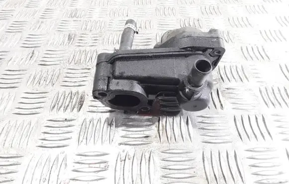 Thermostat/thermostat housing