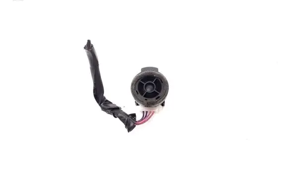 Front door high frequency speaker