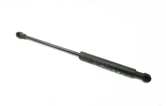 Tailgate strut