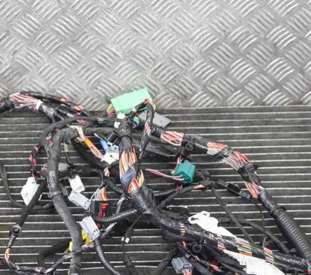 Other wiring loom