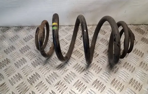 Renault Trafic III (X82) Rear coil spring 