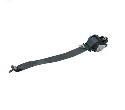 Ford Fusion II Rear seatbelt DG93F611B68AF