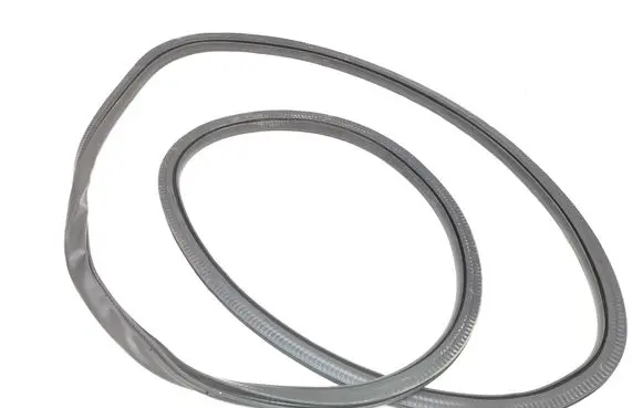Ford Edge II Front door rubber seal 