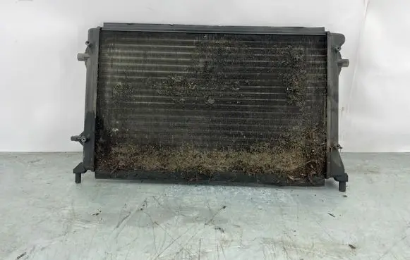 Volkswagen Golf Plus Coolant radiator 1K0121251DF