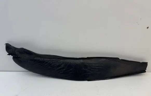 Mini Paceman (R61) Fender foam support/seal 9806948