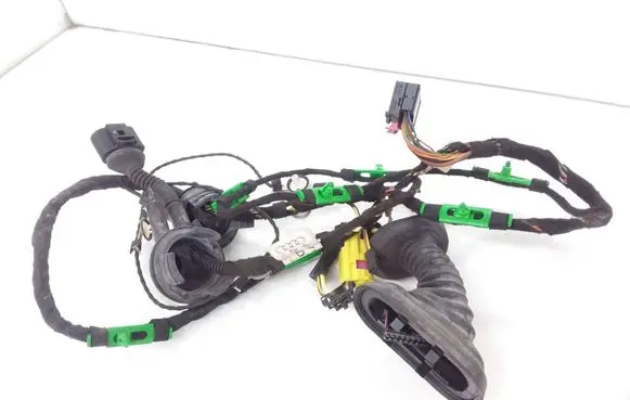 Front door wiring loom