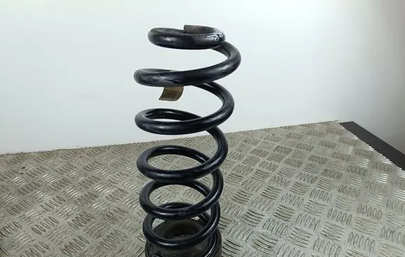 KIA Telluride Rear coil spring 55330S9100