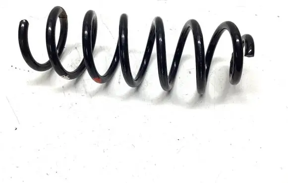 Nissan Qashqai Rear coil spring