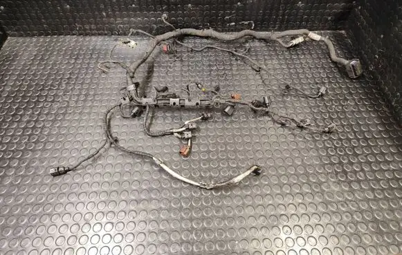 Engine installation wiring loom
