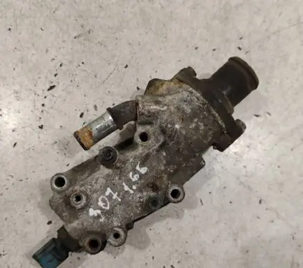 Peugeot 307 Thermostat housing 