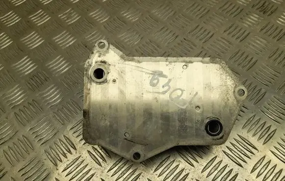 Volkswagen PASSAT B8 Engine oil radiator 0DD317019