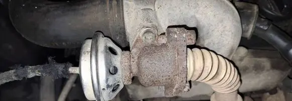 Seat Alhambra (Mk1) EGR valve 028131501e