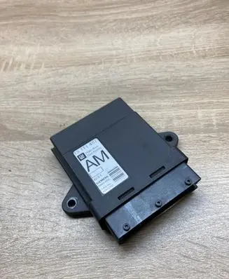 Opel Vectra C Door control unit/module 13111457