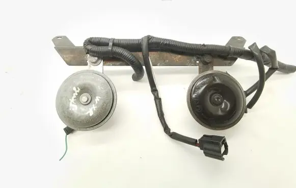 Horn signal