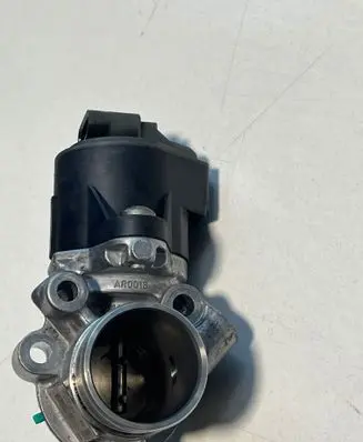 EGR valve