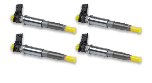 Nissan Pathfinder R51 Fuel injector 0445116033 0986435430 8200889945