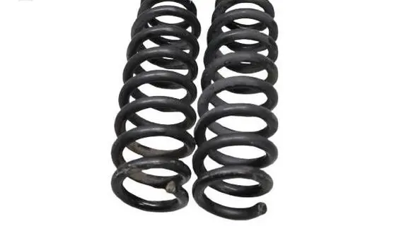 Rear coil spring