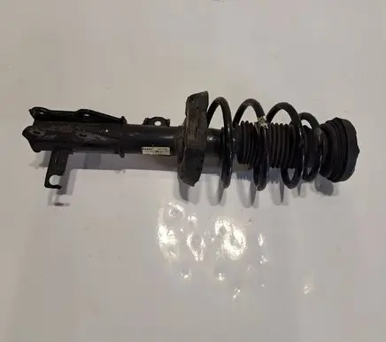 Opel Insignia A Front shock absorber with coil spring