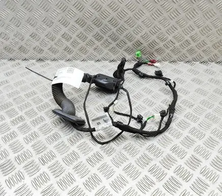 Mercedes-Benz EQE v295 Front door wiring loom A2955405510