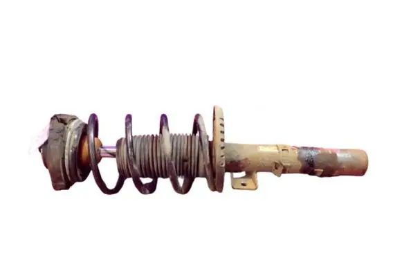 Front shock absorber with coil spring