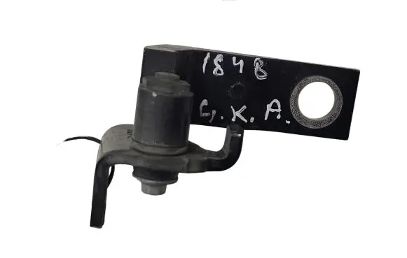 Rear door lower hinge