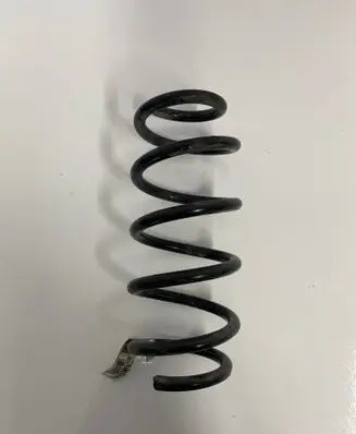 Dodge Charger Front coil spring 25591F 860AA